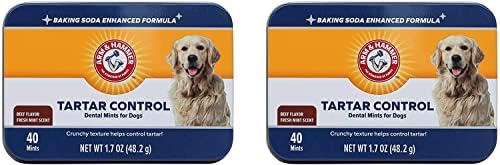 Arm & Hammer Tartar Control Dental Mints for Dogs, Beef Flavor, 40 Ct, 2-Pk