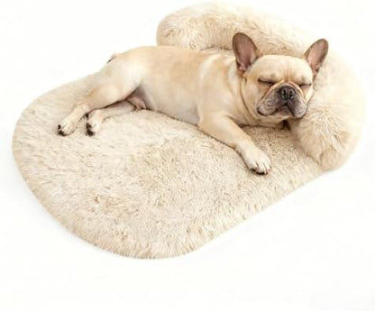 Orthopedic Dog Bed with Egg-Crate Base, Calming Dog Beds Fluffy Plush Faux Fur with Raised Edges, Spine Friendly Pet Sleeping Mat for Medium Large Dogs, Machine Washable (Oval, Beige 32"x24")