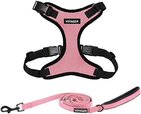 Best Pet Supplies Voyager Step-in Lock Pet Harness w Reflective Pet Leash Combo Set with Neoprene Handle 5ft - Supports Small, Medium and Large Breed Puppies/Cats - Pink/Black Trim, S
