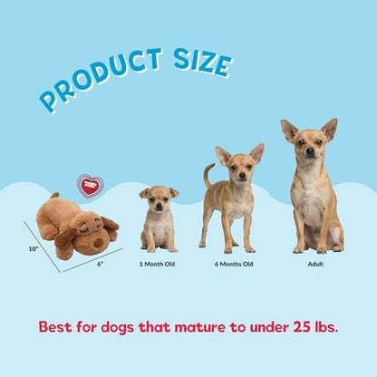 Snuggle Puppy Junior Heartbeat Toy, Calming Comfort, Small Breeds - Biscuit