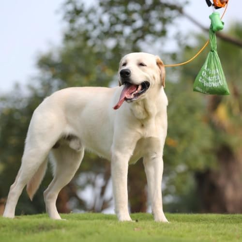 Deo Doo Dog Poop Bags with Handles, Large Size, 60 Rolls 720 Bags