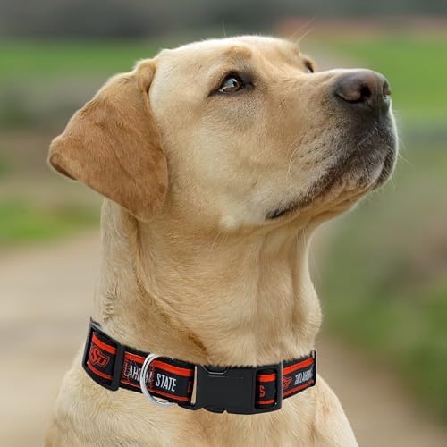 Pets First Collegiate PET Collar OLD VERSION Oklahoma State Cowboys Dog Collar, Size Small. Best Sports Team Collar for Dogs & Cats. A Shiny & Colorful Dog & Cat Collar Licensed by The NCAA
