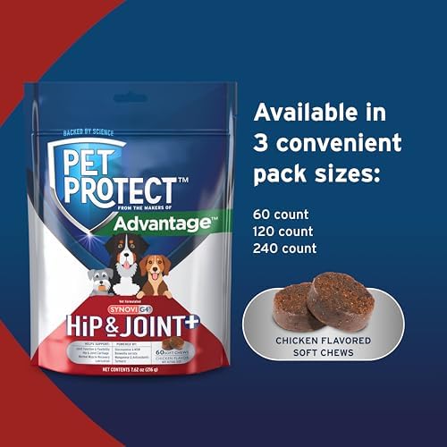 Pet Protect Hip & Joint+ Supplement for Dogs, Chicken Flavor 60ct