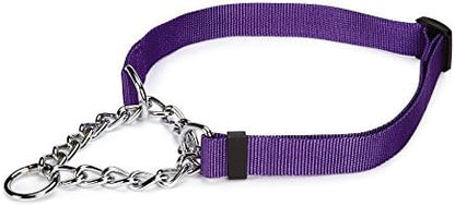 Guardian Gear Adjustable Martingale Choke-Style Dog Collar Purple 16-24 Inch