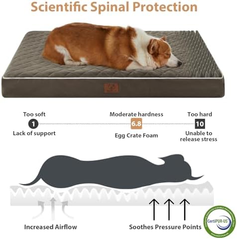 WNPETHOME Orthopedic Waterproof Extra Large Senior Dogs Bed for Comfy Sleep