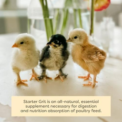 Scratch and Peck Feeds | Starter Grit for Chickens & Ducks | 7 lb Pouch