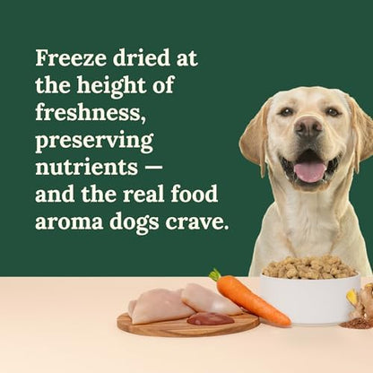 360 Pet Nutrition Freeze-Dried Raw Dog Food – Chicken Recipe with Liver & Organs, High Protein, Omega-3s, Fruits, Veggies & Superfoods, Grain-Free, No Fillers 4 x 16 oz Made in USA