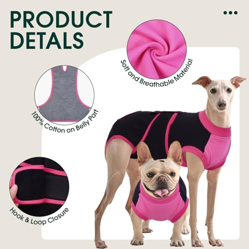 Kuoser Dog Recovery Suit, Female Male Spay Neuter Surgery Suit, Black, M