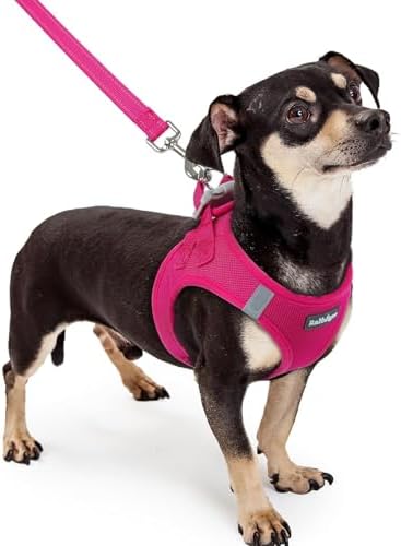 rabbitgoo Dog Harness Small Sized and Leash Set, Step-in Puppy Pet Vest