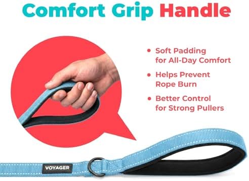 Best Pet Supplies Voyager Nylon Dog Leash - Baby Blue, Small