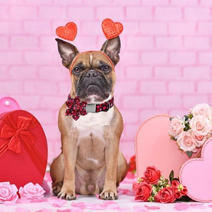 Dog Collar - Valentine's Pet Collar with Flower for Dogs Heart Print Flower Adjustable Puppy Collar Girl Pet Gift Collars for Medium Small Large Dogs