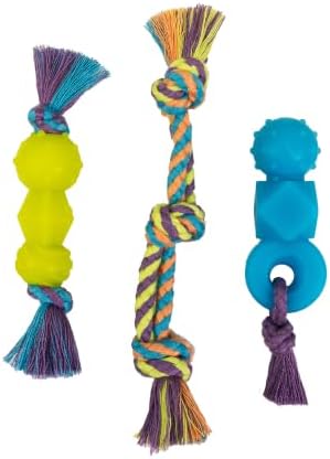 Mini Dentachew Dental Dog Chew Toys, 5-8", 3-Pack