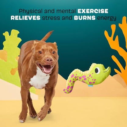 BarkBox Maury EEL Plush Dog Toy