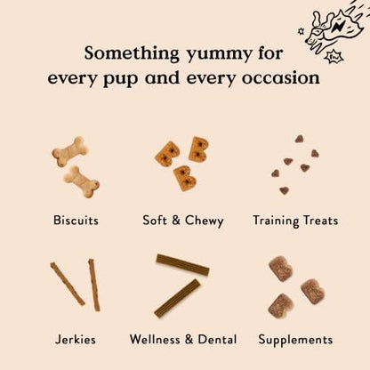 Bocce's Bakery Wild 'Berry Biscotti Crunchy Biscuits Dog Treats, 12 oz