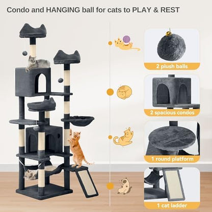 DWVO 75 in Multi‑Level Cat Tower