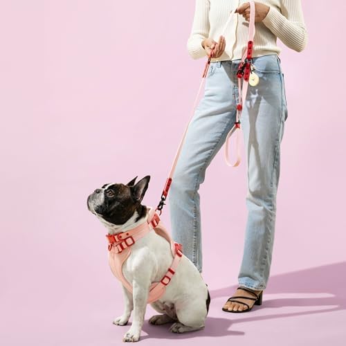 WLK1005G-5SET Luna Medium 8FT Adjustable 6-in-1 Waterproof Hands-Free Leash and Collar with LED Flashlight, Bag Dispenser, and Poop Bag Holder, Paloma