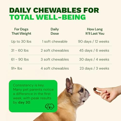 Get Joy Digestion Chews, Gut Health Supplement for Dogs, Vet Recommended Soft Daily Digestive Health & Immune Support with Prebiotics, Probiotics & Postbiotics, Made in USA, 90 Count