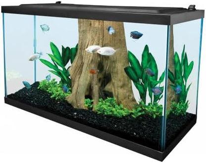 Tetra 29 Gallon Glass Aquarium, Rectangular Fish Tank