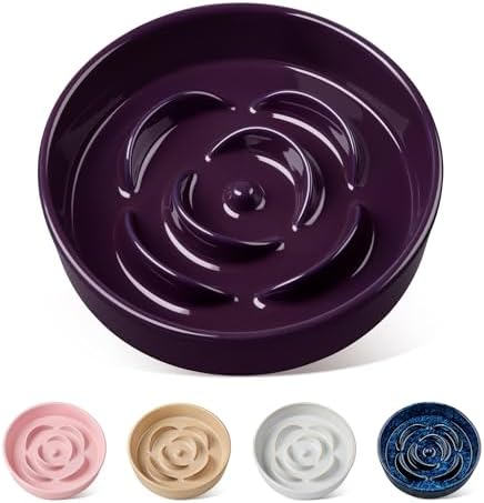 vancasso Slow Feeder Dog Bowl, 0.6 Cups Ceramic Small Puzzle Dog Food Dish