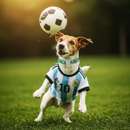 Cute Dog Collar, Green Soccer Boy Dog Collars - Soft Adjustable Everyday Collars for Small Medium Large Dogs, Durable Metal Buckle Male Dogs Collar XS