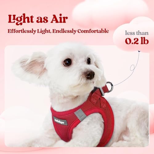 rabbitgoo Dog Harness Medium Sized and Leash Set, Step-in Puppy Pet Vest