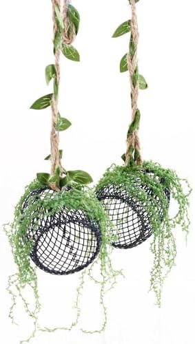 5Pcs Jumping Spider Enclosure Accessories with Hammock, Magnetic Climbing Rope, Resting Ledge Platforms and Feeding Dish Bowl & Hook for Terrarium Habitat (Two Hammocks)