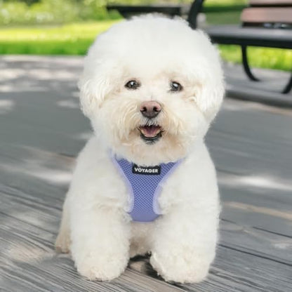 Best Pet Supplies - All Weather Mesh/Plush, Reflective, No Pull Harness for Small, Medium Dogs, Cats - Secure with Hook & Loop Fastener, Buckle, Double D-Rings - Lavender, L