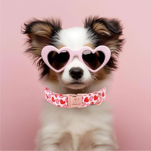 Valentines Dog Collar, Pink Heart Print Girl Dog Collars, Cute Valentine Puppy Collars, Adjustable Heavy Duty Pet Collar for Small Medium Large Dogs with Metal Buckle M