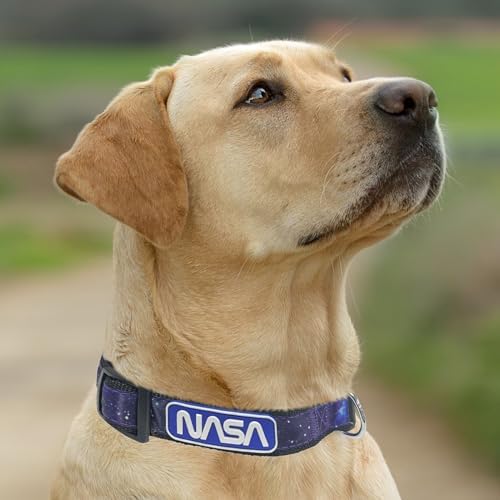 Pets First NASA Dog Leashes and Collars