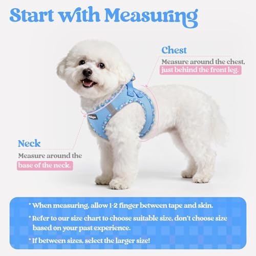 rabbitgoo Dog Harness Medium Sized and Leash Set, Step-in Puppy Pet Vest