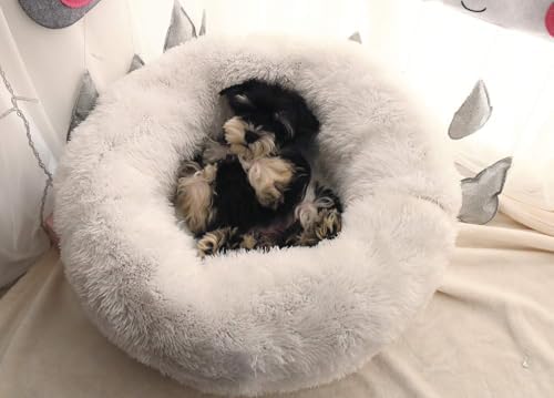 Cat Bed for Indoor Cats,Mini Plush Self Warming Kitten Bed, 20 Inch