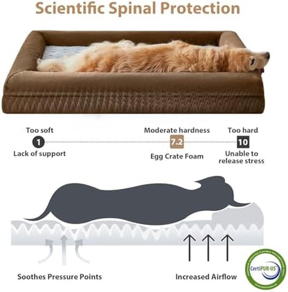 WNPETHOME XL Extra Large Orthopedic for Senior Dog Bed Comfy Sleeping