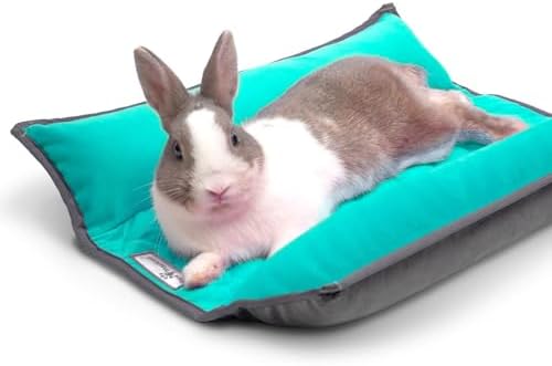 Paw Inspired Snuggle Bunny Bolster Bed, Gray/Green, 17x17 Inch