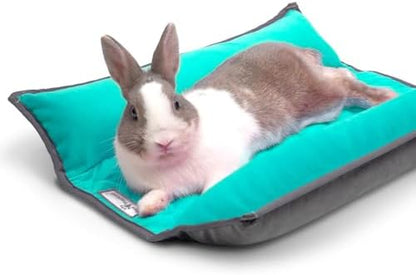 Paw Inspired Snuggle Bunny Bolster Bed, Gray/Green, 17x17 Inch