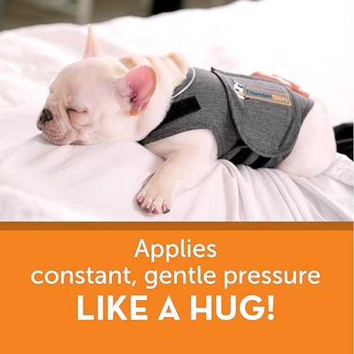 ThunderShirt for Dogs Calming Anxiety Vest, Small, Heather Gray