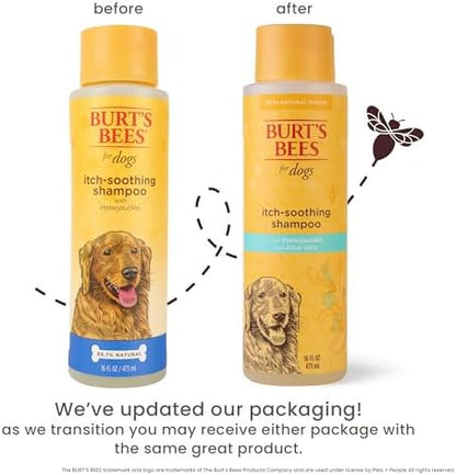 Burts Bees for Pets Itch Soothing Dog Shampoo, Honeysuckle, 16 Fl Oz, 6-Pk