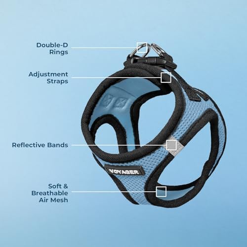 Voyager Step-in Air Dog Vest Harness - Baby Blue/Black Trim, Large