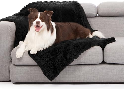 gogobunny Waterproof Dog Blanket for Couch & Furniture Protection - Super Soft Reversible Throw for Large Dogs & Cats, Calming Washable Fur & Sherpa Pet Blanket (40x50 Inch, Black)