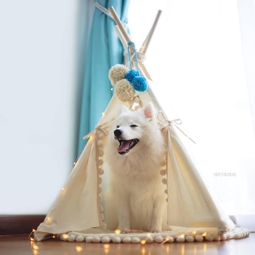 MINICAMP Pet Teepee Bed for Dogs and Cats – Cozy Indoor Dog Tent with Natural Cotton– Luxury Pet House & Hideaway Bed for Small to Medium Dogs, Cats and Other Animals - Made in EU (Medium)