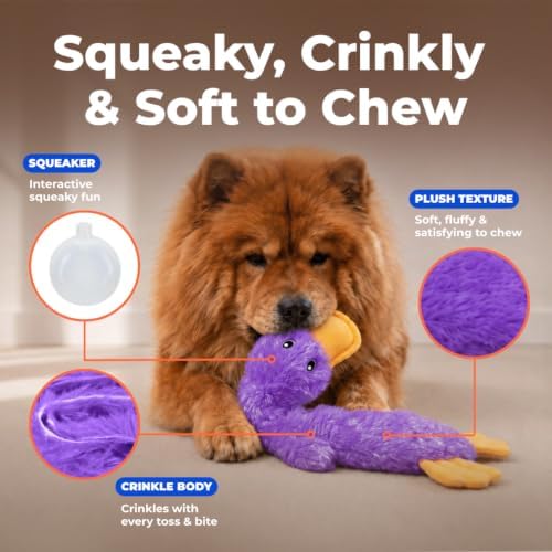 Best Pet Supplies Interactive Squeaky Dog Toy - Crinkle Duck, Purple