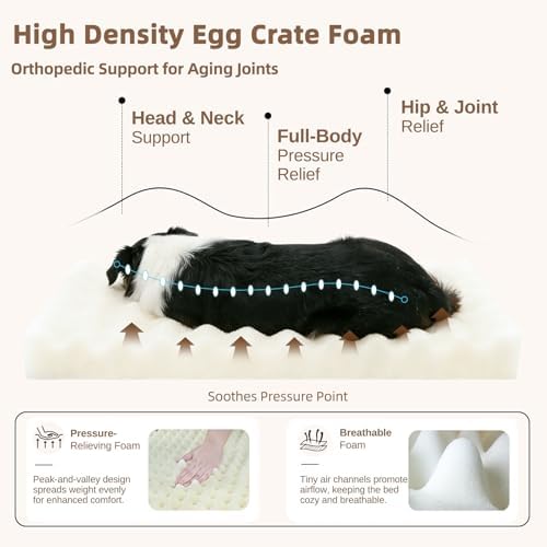 Orthopedic Dog Bed for Medium Dogs,Firm Egg Crate Foam,Nonslip Bottom,Green