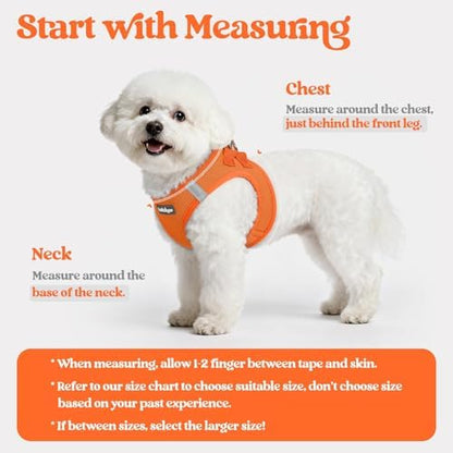 rabbitgoo Dog Harness Small Sized and Leash Set, Step-in Puppy Pet Vest