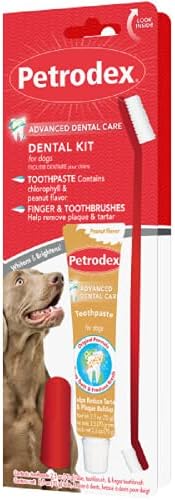 Petrodex Dog Dental Care Kit, Toothbrush & Toothpaste, Peanut, 2.5oz