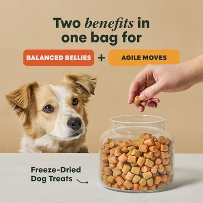 Instinct Duos Feelin' Good, Freeze Dried Treats, Chicken, 4 oz.