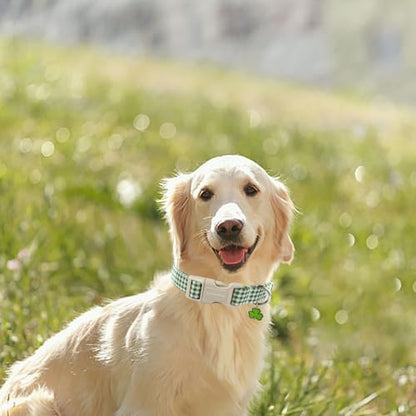 Lionet Paws St. Patrick Dog Collar, Comfortable Adjustable Green Collar with Green and White Grid Pattern for Medium Male Female Dogs Collars, Neck 13.5-22 inches