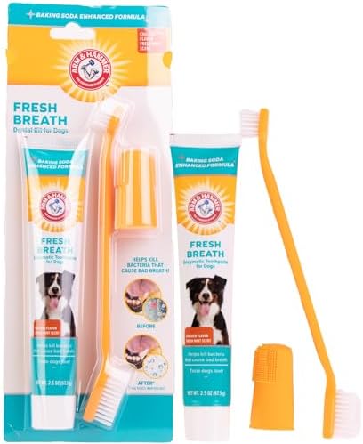 Arm & Hammer Enzymatic Dog Dental Care Kit, Chicken Flavor, 2.5 Oz, 48-Pack