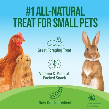 Small Pet Select - Pea Flakes, Treats for Rabbit Bunny, Guinea Pig, Chickens, Bunny, Hamster, and Other Small Pets, 3 lb (Three Pack, 1lb)