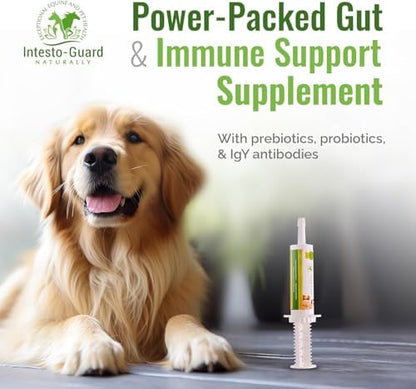 Probiotics Paste for Dogs Prebiotic for Canine, Gut Support, & Immune Boost, All Natural with 1 Billion per ML Includes (MOS)+ Beta Glucans + D-Mannose, No Animal by-Products - 30ML Single Tube