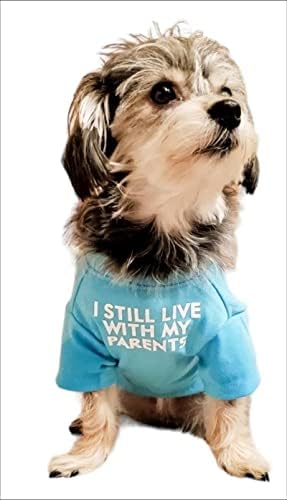 Cute Dog Clothes, T Shirt for Medium and Small Dogs Girl Boy,Puppy.Breathable Soft Dog Costume for Pet Dogs Cats, Pet Pullover Jumper, Cat Clothes (S-(4~8lb), Chest~14",Aqua)