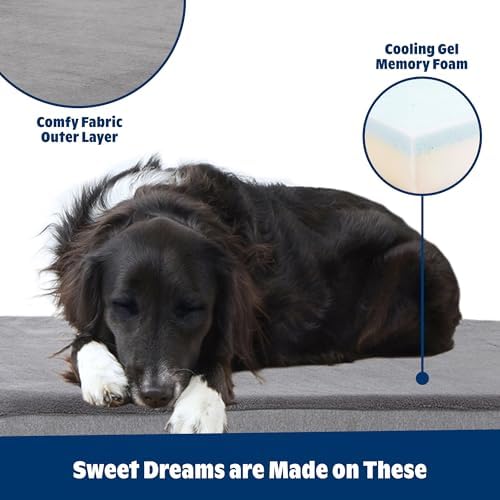 BarkBox Orthopedic Dog Bed - XXL